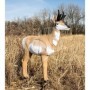 Sagoma 3d 23511 Woodland Antilope - RINEHART