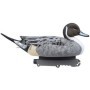 Male Wigeon Set Last Step - 12 Piece Pack - SPORT PLAST