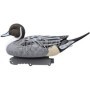 Male Wigeon Set Last Step - 12 Piece Pack - SPORT PLAST