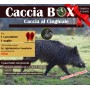 TOSCANA SIENA – CACCIA AL CINGHIALE – 1 CACCIATORE + OSPITE – PACCHETTO CACCIABOX