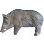 3d Silhouette Female Boar - C.POINT