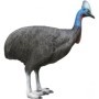 Eleven 3d Silhouette Cassowary - ELEVEN TARGETS