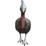 Eleven 3d Silhouette Cassowary - ELEVEN TARGETS