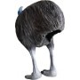 Eleven 3d Silhouette Cassowary - ELEVEN TARGETS