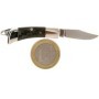 Cuchillo Mignon, Mango de Carbono - MASERIN